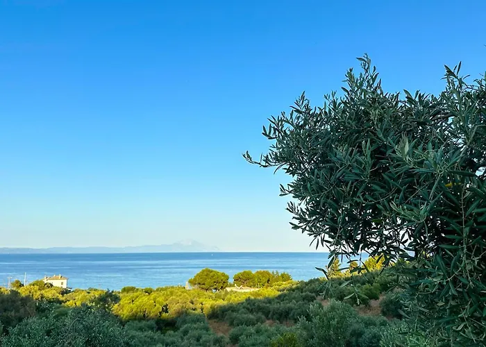 别墅 Eleopetra Halkidiki *