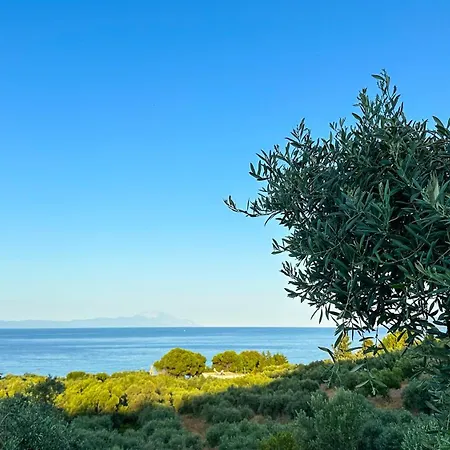 וילה Eleopetra Halkidiki *